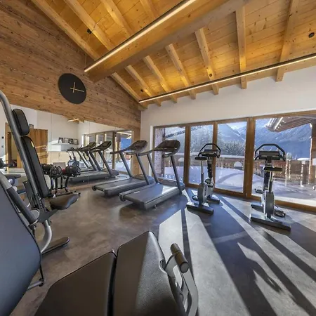 Chalet Nationalpark Stein Am Ferner